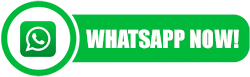 Whatsapp Now